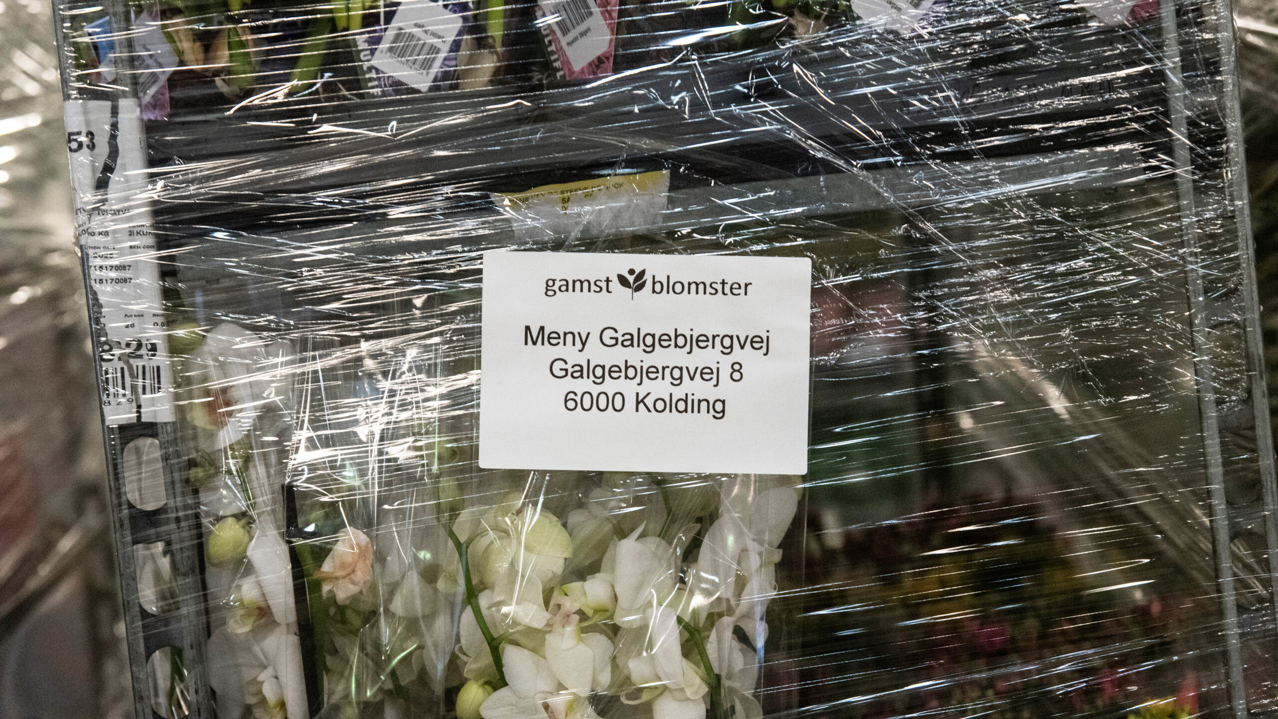 GamstBlomster-Topbanner-1