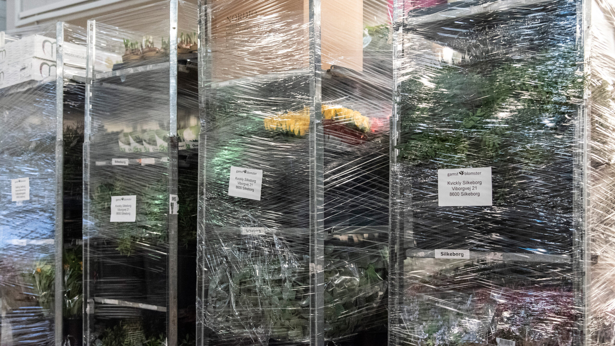 GamstBlomster-Topbanner-4