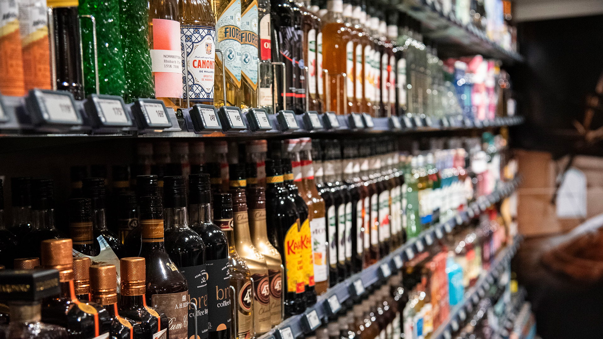 Topbanner-AndrupVin-5